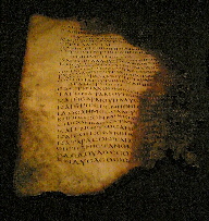 Fragment